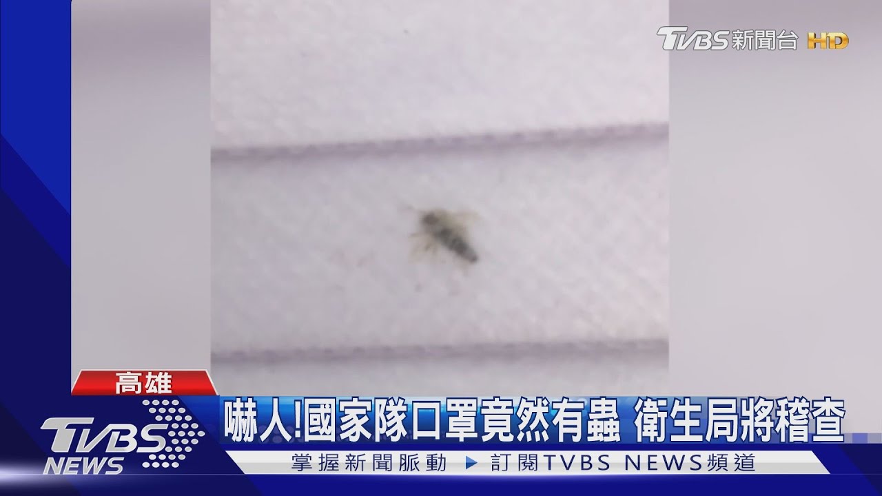 嚇人!國家隊口罩竟然有蟲 衛生局將稽查
