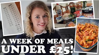Budget friendly grocery shop and meal planning | Meals for one - living alone