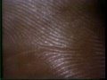 Sesame Street Look A Little Closer Hand