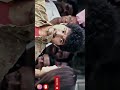 Thalapathy Vijay Villu Movie Fight Scene Shots Vijaymovies Youtubeshorts