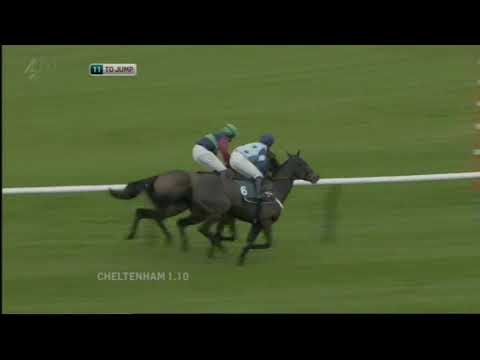 2011 Irish Times Amateur Riders' Chase - Cheltenham Open meeting