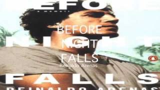 Before Night Falls by Reinaldo Arenas (THE STONES)