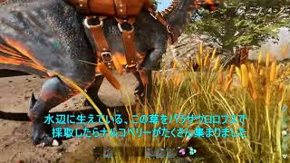 【ASA バルゲロ】等倍でも水辺のこの草からナルコベリーがさくさく【公式PvE】