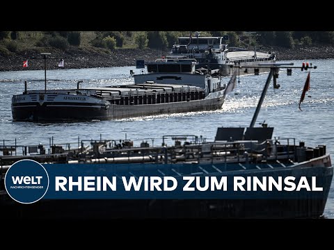 DÜRRE IN DEUTSCHLAND: Warum Niedrigwasser das Tanken in Süddeutschland teuer macht