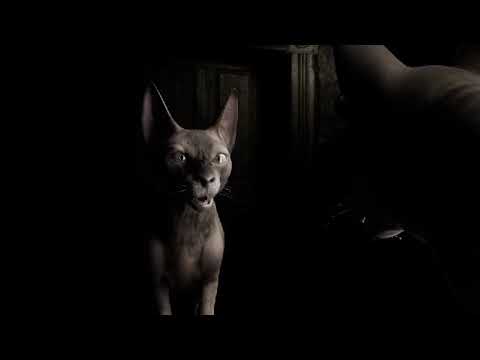 cat animation test