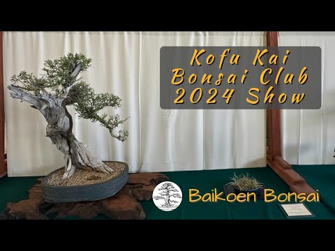 Kofu Kai Bonsai Club - 2024 Fall Show - Bonsai Exhibition - Baikoen Bonsai Club