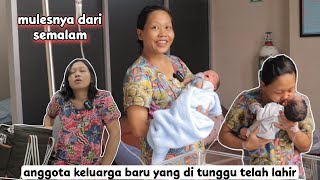 YANG DI TUNGGU !! lahirnya anggota keluarga baru kita