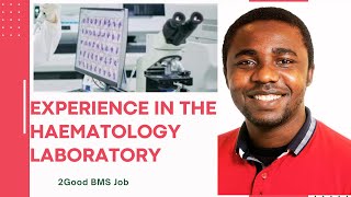 Experience in the Haematology Laboratory II Dr Emmanuel Ogbodo II @GoodBMSJobs