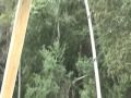 Gator 9 26 09 Part 2
