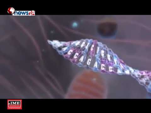 नेपालमा एचआइभी एड्सबाट संक्रमित हुनेहरुको संख्या घट्दै - NEWS24 TV