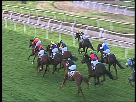 Galoppo 29/03/2016 - 7° corsa