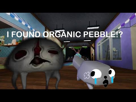 I FOUND ORGANIC PEBBLE IN DANDY’S WORLD…