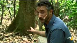 MISSIONE NATURA 17/07/2011 - La Vipera ferro di lancia