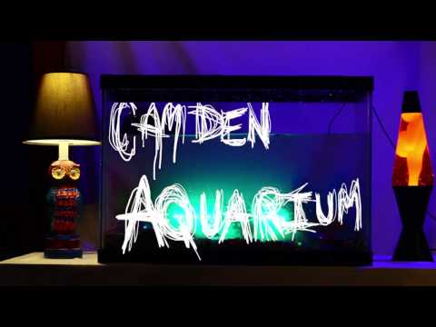 American Lions - Camden Aquarium (Official Music Video)