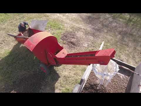 Pecan Harvesting and Processing