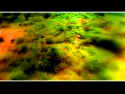 David Pomeranz  On This Day