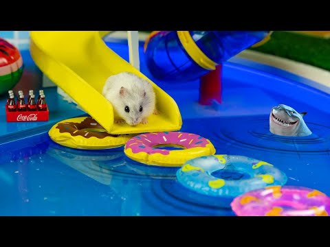 🐹MEGA HAMSTER RACE 🐹 maze with Traps hamster🐹 Minecraft Maze