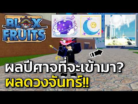 ผลปีศาจที่จะเข้ามาในเกม!? ฟุตคอนเทส | Blox Fruits Roblox