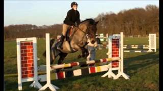 Amigo mein Traum, mein Leben und Kuscheltier..