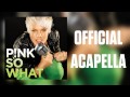 P Nk So What Official Acapella