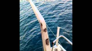 preview picture of video 'Pescare Razza Porto Piombino Pesca Bolentino'