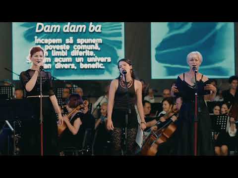 Kisváros blues - Orchestra Lira & Ansamblul Timișul