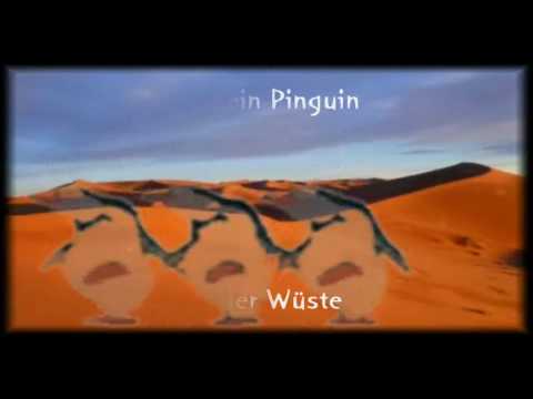 Von Luft und Liebe - Pinguin in der Wüste