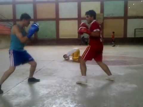 byron vs cocolon box