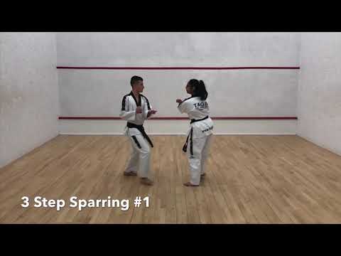 3 Step Sparring 1-4