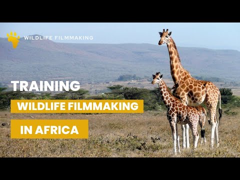 Wildlife Filmmaking Program for aspiring wildlife filmmakers set in the heart of wild Africa