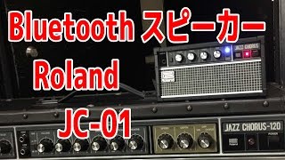 Roland JC-01 Bluetooth Audio Speaker - What To Know & Where To Buy