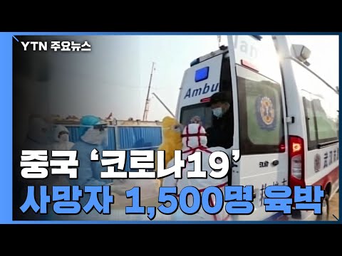 아이콘
