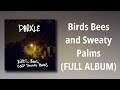 Darkle Birds Bees And Sweaty Palms FULL ALBUM