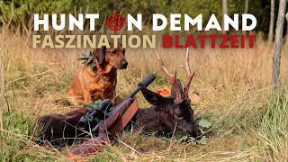 Faszination Blattzeit I Die spannendste Zeit der Bockjagd! 🦌🌿 