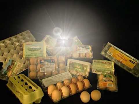 Das Ei - eine runde Sache