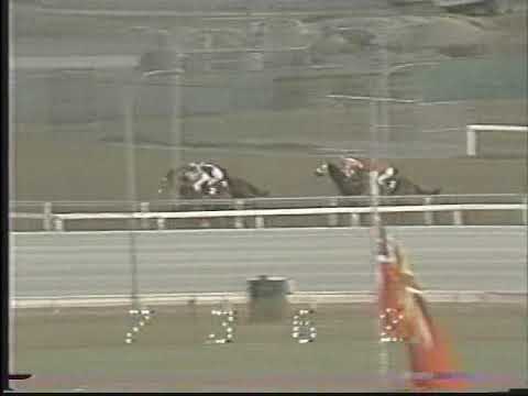 Kingarvie Stakes - Nov. 29, 1986 - Bold Executive