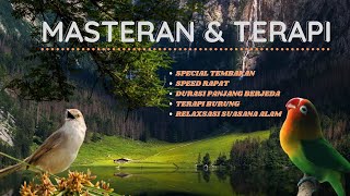 Download lagu MASTERAN SPECIAL TEMBAKAN Lovebird VS Cigun & TERAPI SUASANA ALAM UNTUK MURAI, KACER, CUCAK IJO dll. mp3