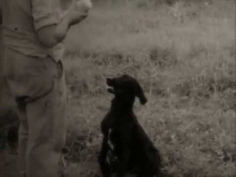 Brock Winthrop - Pastoral Scene