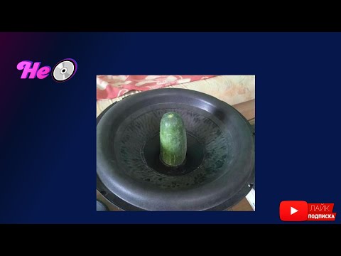 💿A Better Day (Alex Van Alff Remix Ultra Bass) Luna Mora🔊