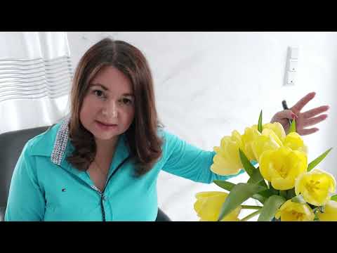 FISCHE Horoskop Februar 2021 Achterbahn der Gefühle von AURORA VEST