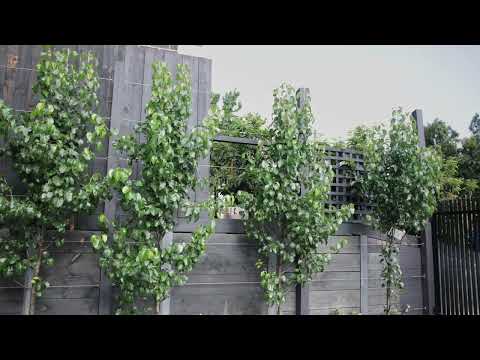 Lusher Landscaping & Design video.