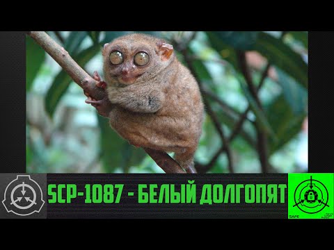 SCP-1087 - Белый долгопят     【СТАРАЯ ОЗВУЧКА】