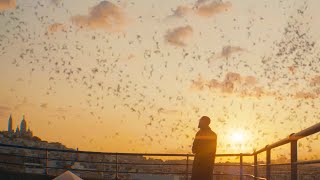 Pas Sommeil Lyrics English Translation