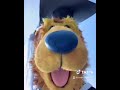 A Word To The Graduates Of 2020 From Bear In The Big Blue House