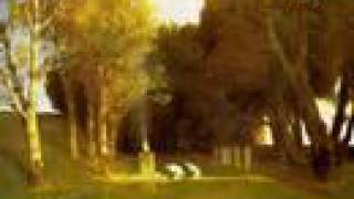 Music video thumbnail preview for Waltz - Caprice by Caprice