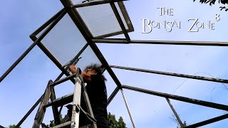 Download Lagu A Pane in the Glass Greenhouse, The Bonsai Zone, Sept 2021 Thumbnail
