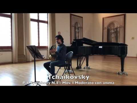 Orchestral Excerpts Audition - Filippo Tramontana