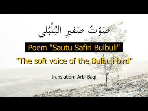 Arabi Poem "The soft voice of the Bulbuli bird"
