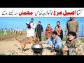 Guests Ramzi Noori Bilo Bhootna Shoki Sanam Falak Sher Funny Video Rachnavi Tv
