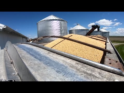 The price of U.S. soybeans, which have been targeted by Chinese tariffs since last year, fell Monday to a 10-year low on fears of a protracted trade war. (May 14)